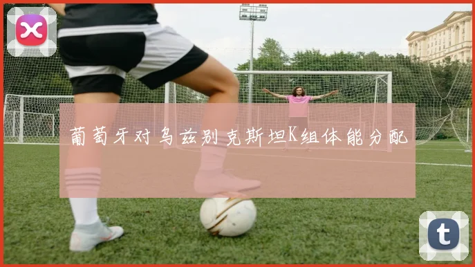 葡萄牙对乌兹别克斯坦K组体能分配