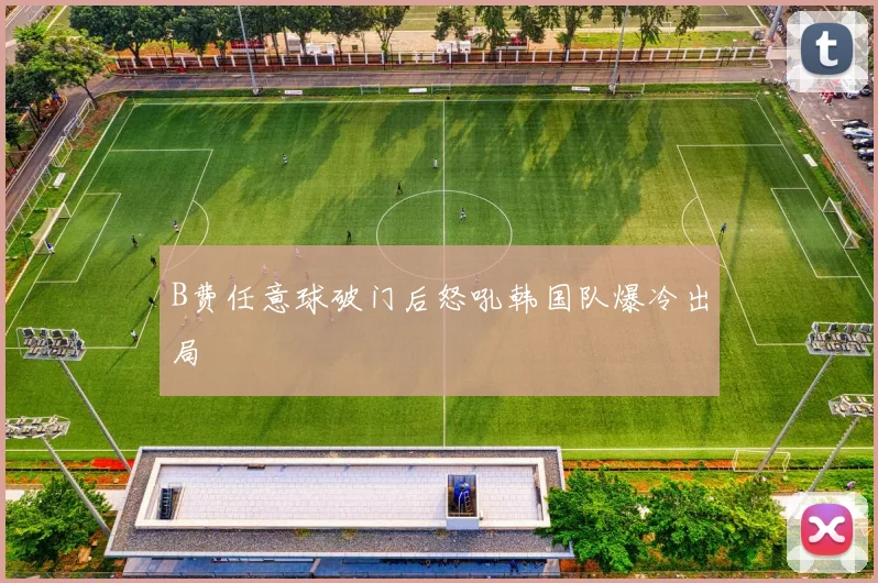B费任意球破门后怒吼韩国队爆冷出局