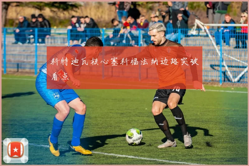 科特迪瓦核心塞科福法纳边路突破看点