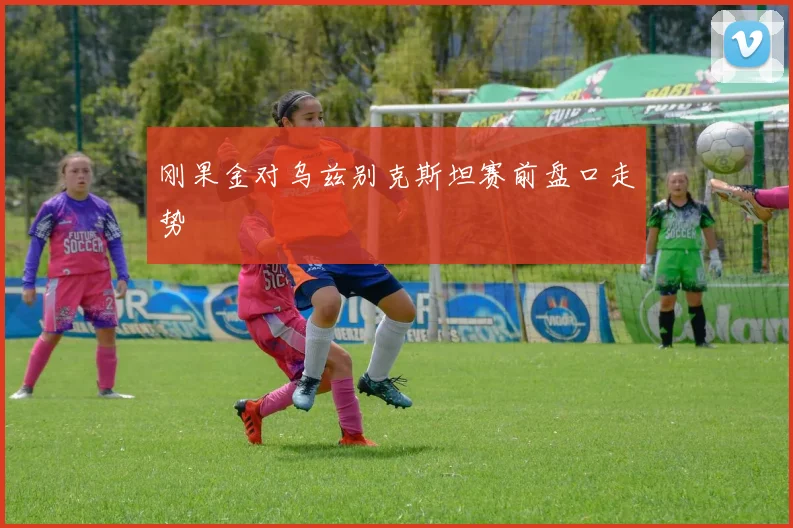 刚果金对乌兹别克斯坦赛前盘口走势