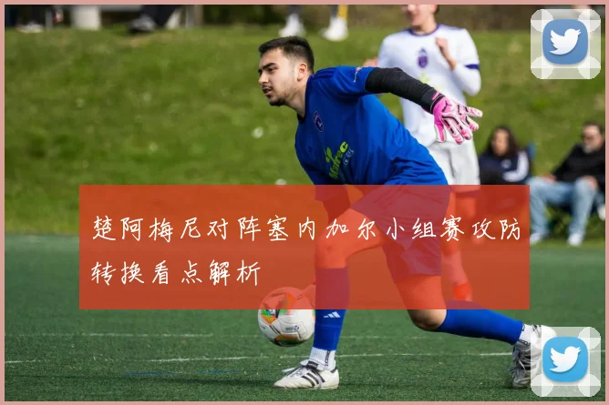 楚阿梅尼对阵塞内加尔小组赛攻防转换看点解析