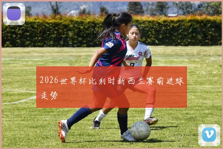 2026世界杯比利时新西兰赛前进球走势