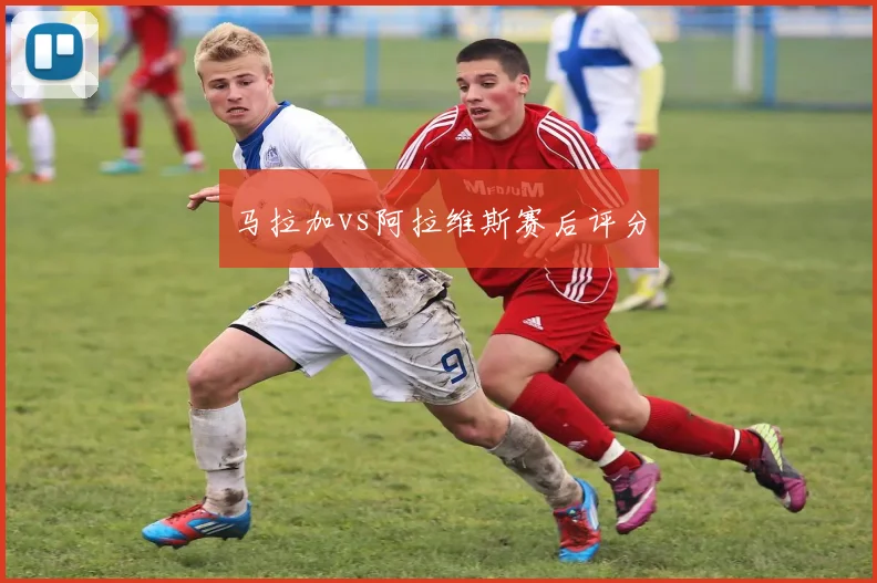 马拉加vs阿拉维斯赛后评分